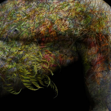 Johnnie Eisen, Entanglement 14